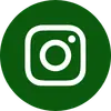 Insta icon