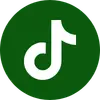 Tiktok icon